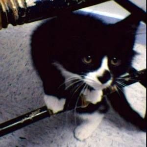 Meet your Posher, Eddie